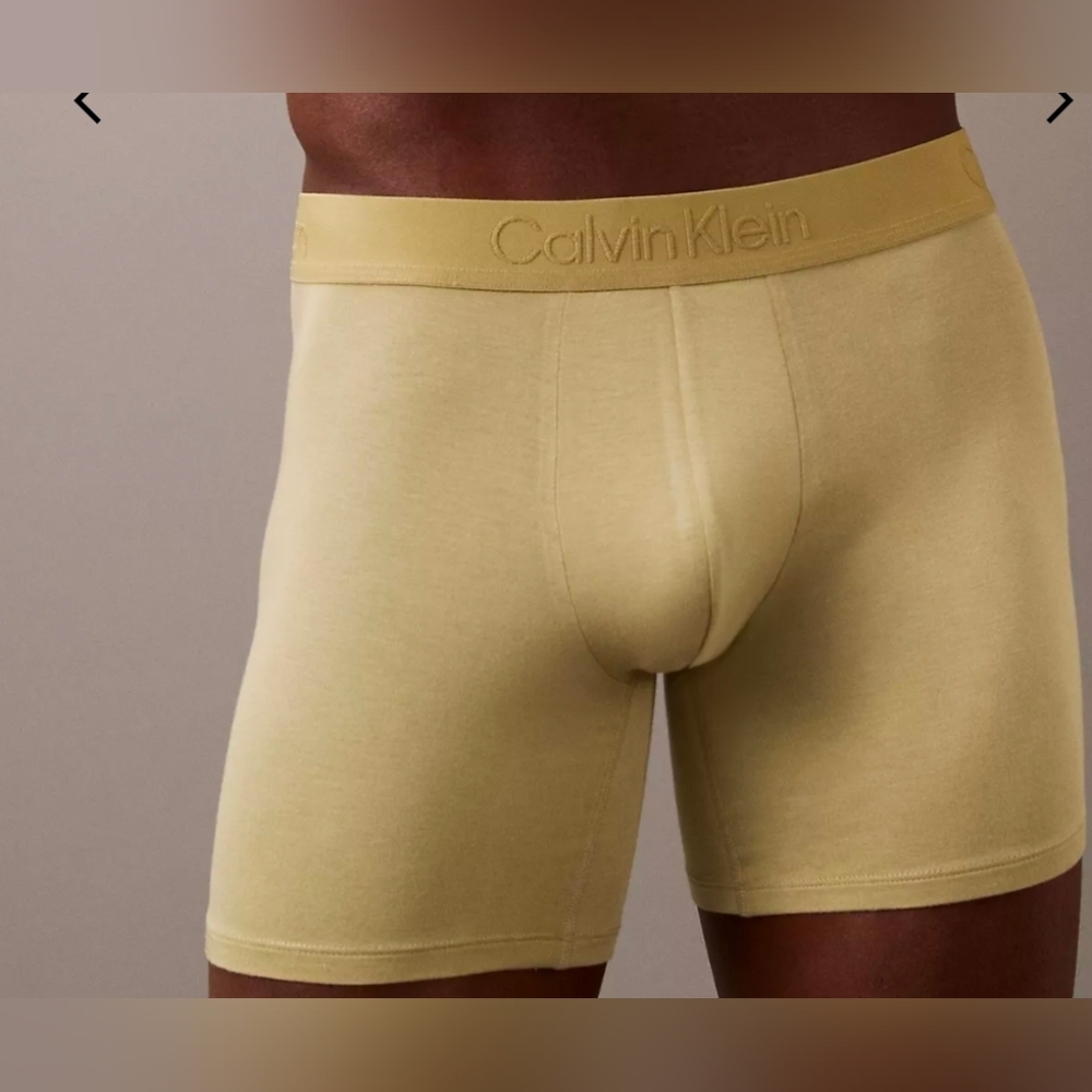 Calvin Klein Men's Ultra Soft Modal Iguana Grey  Boxer Briefs